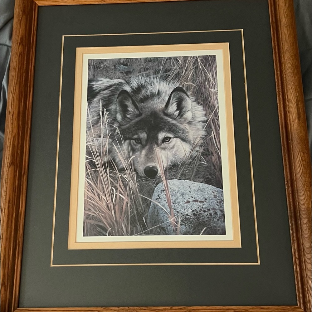 Framed Wolf Art Print